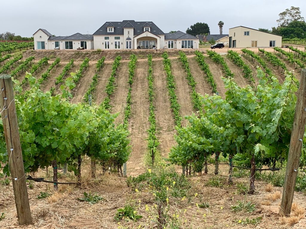 Back of house w rows of vines